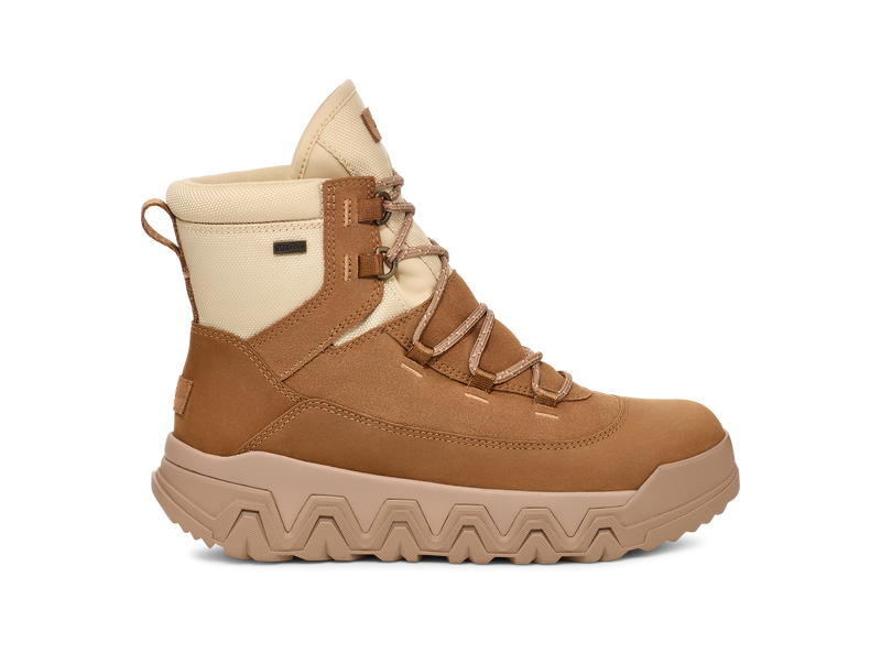 UGG TerreTrail Hi-Top Chestnut Women's 1