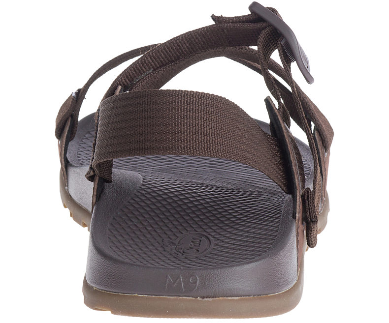 Chaco Lowdown Sandal Brown